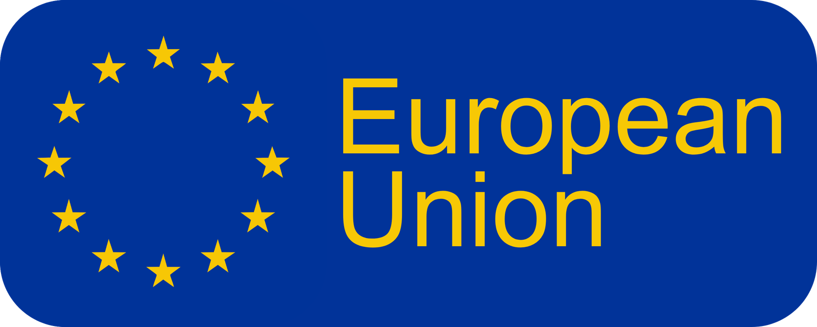 European Union Full Flat Logo